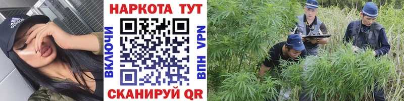 Купить Каннабис  Амфетамин  СК  ГАШИШ  Меф  Тара