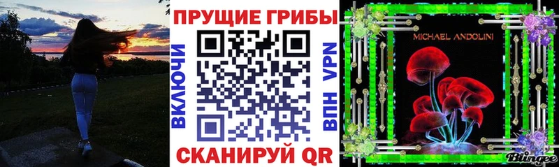 Купить где  Тара  Псилоцибиновые грибы MAGIC MUSHROOMS 